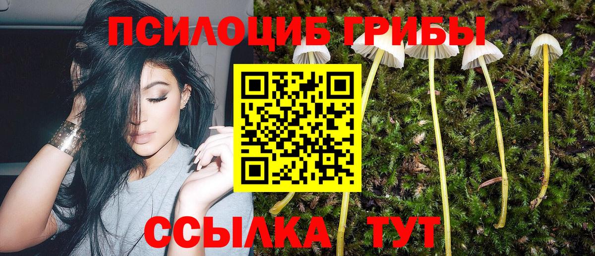Нягань  как найти закладки  Вход с VPN  Псилоцибиновые грибы мицелий 